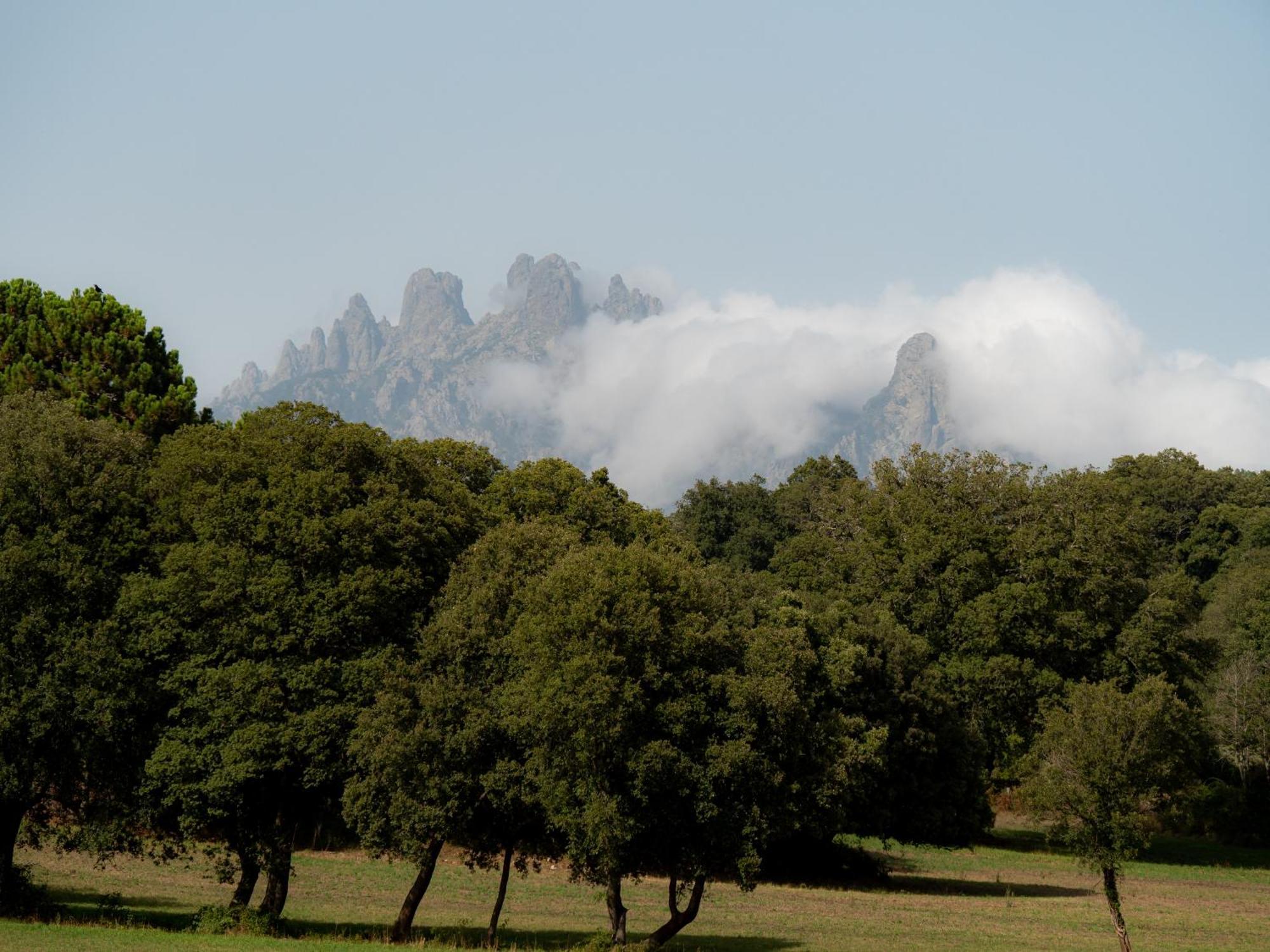Village Del Mar Solaro Buitenkant foto